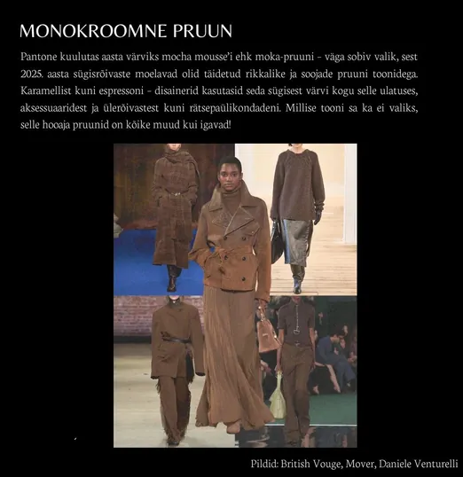 Trendispikker: Monokroomne pruun